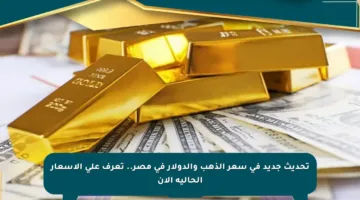 تحديث جديد في سعر الذهب والدولار في مصر.. تعرف على الأسعار الحالية الآن